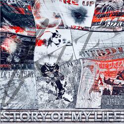 Story Of My Life (Radio Edit)