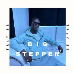 Big Stepper