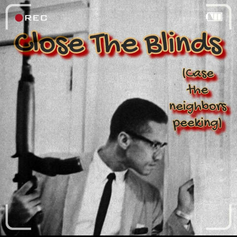 Close The Blinds(Case The Neighbors Peeking)