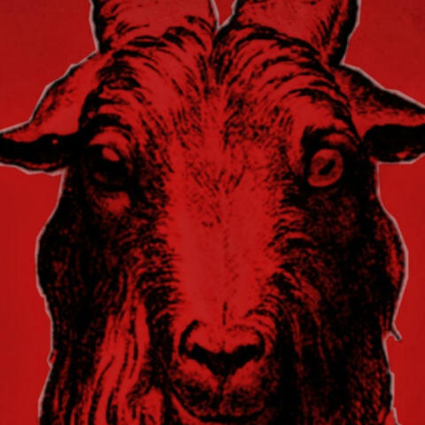 THE GOAT IS HERE