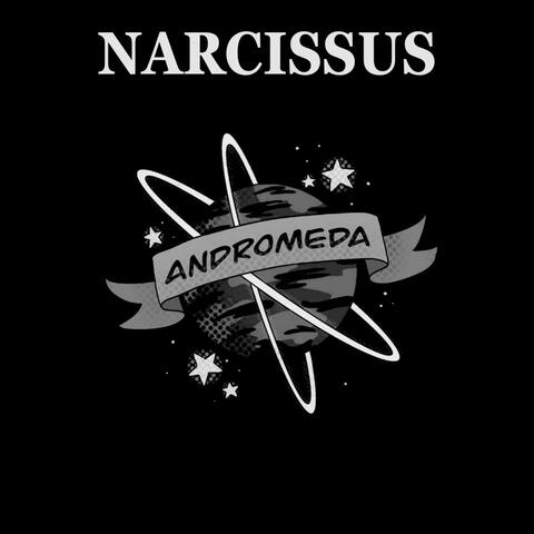 Narcissus