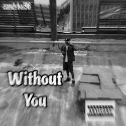 Without You