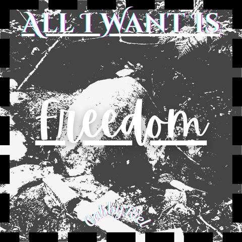 All I Want Is (Freedom)
