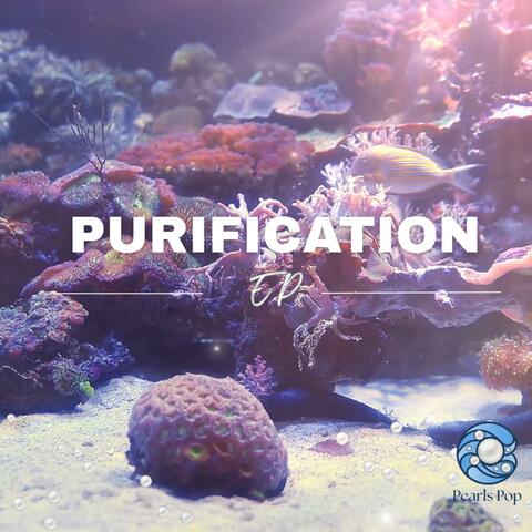 Purification