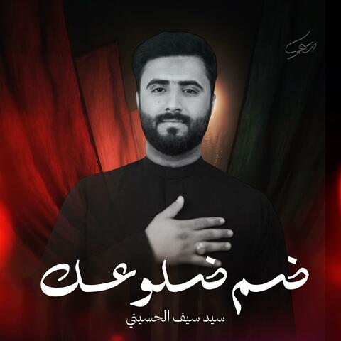 ضم ضلوعك | سيد سيف الحسيني