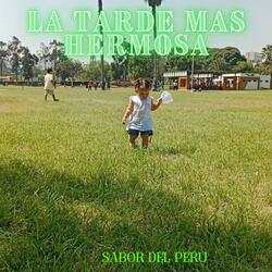 LA TARDE MAS HERMOSA