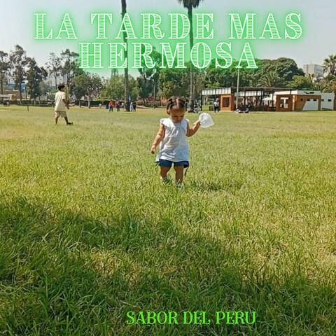 LA TARDE MAS HERMOSA