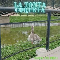LA TONTA COQUETA