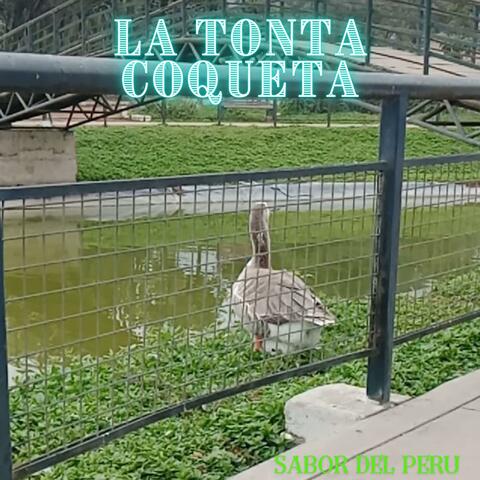 LA TONTA COQUETA