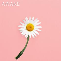 Awake