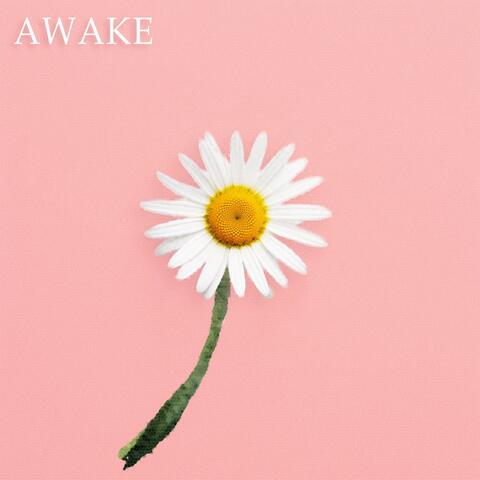 Awake
