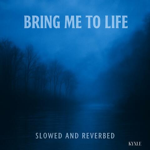 Bring Me To Life (Slowed & Reverb)