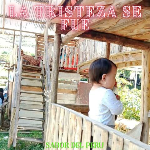 LA TRISTEZA SE FUE