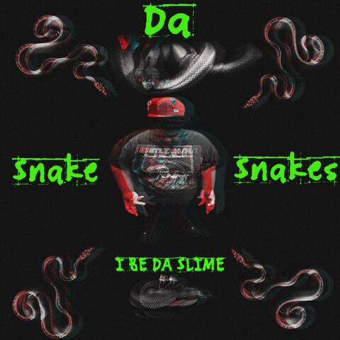 Snake the snakes