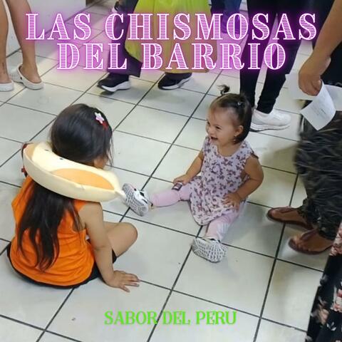 LAS CHISMOSAS DEL BARRIO