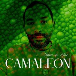Camaleon