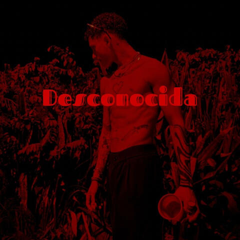 Desconocida