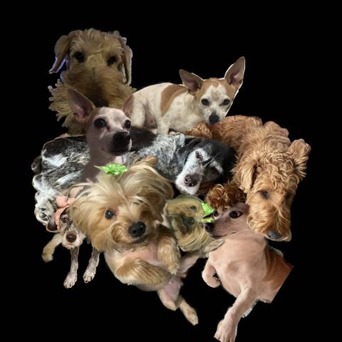 Friday I'm In Love/Roboghost (2025 Repost)