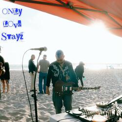 Only Love Stays