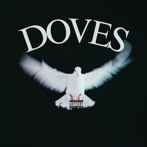 DOVES