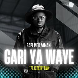 Gari Ya Waye