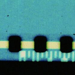 7 Bass Guitars In 7/8