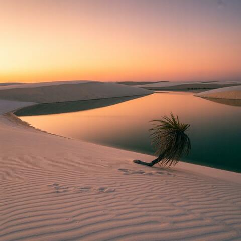 Tranquessence