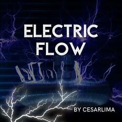 Electric Flow