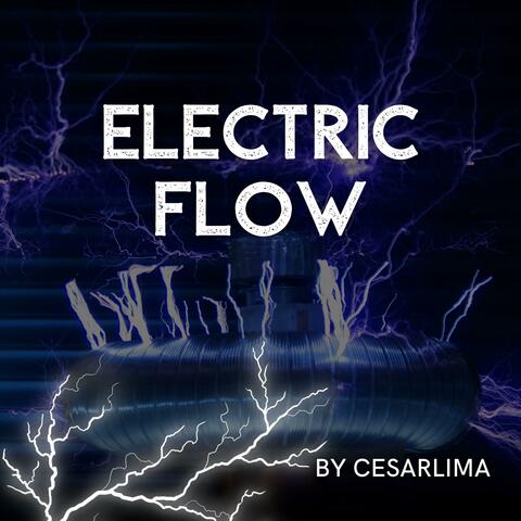 Electric Flow
