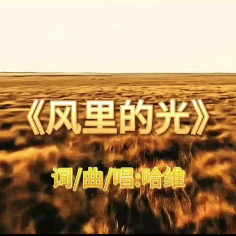 风里的光