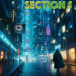 Section 5