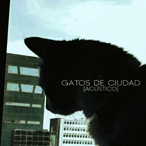 Gatos de Ciudad (B-Sides)