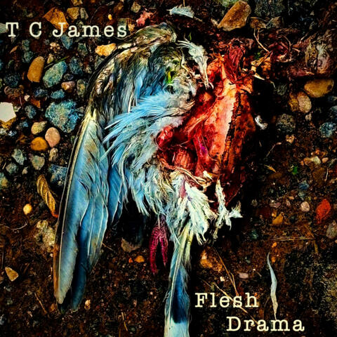 Flesh Drama
