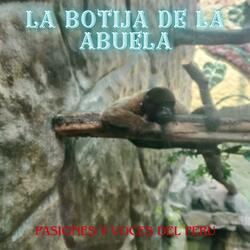 LA BOTIJA DE LA ABUELA