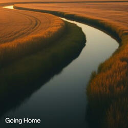 Going Home