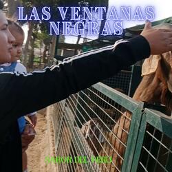 LAS VENTANAS NEGRAS