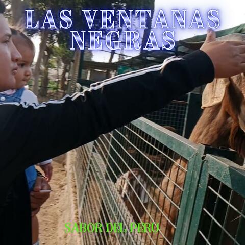 LAS VENTANAS NEGRAS