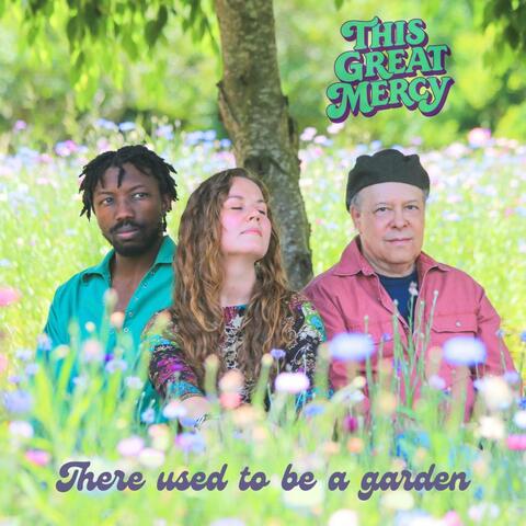 There used to be a garden