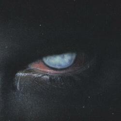 Eye to Eye