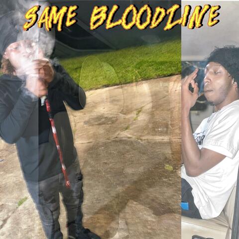 Same bloodline (feat. Li44)