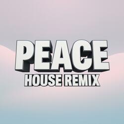 PEACE (House Remix)