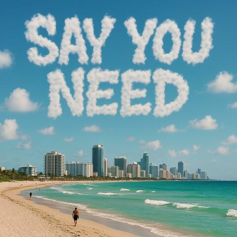Say You Need