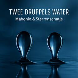Twee Druppels Water