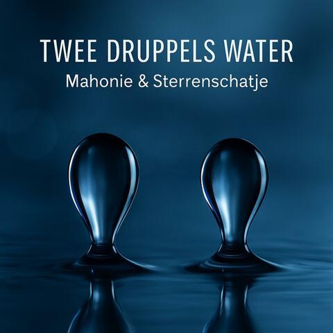 Twee Druppels Water