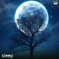 Whisper Moon: Calm Piano Sleep Music