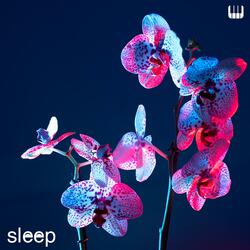 Night Bloom: Soft Pinao Sleep Music