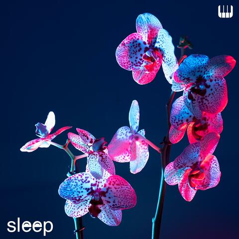 Night Bloom: Soft Pinao Sleep Music