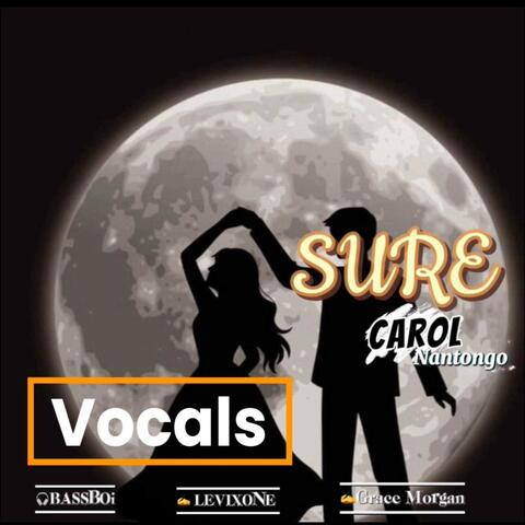 Sure (feat. levixone Lucas) [Vocals Version]