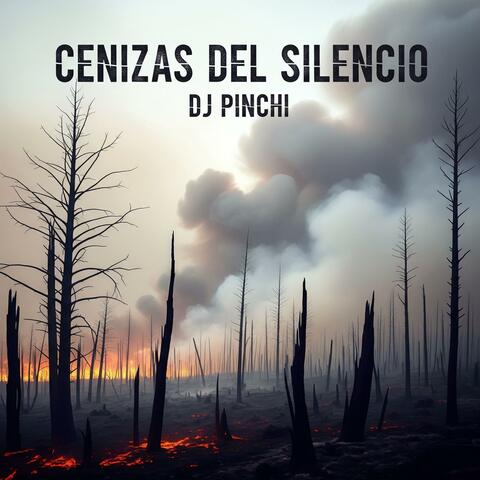 CENIZAS DEL SILENCIO
