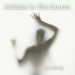 Hidden In The Storm